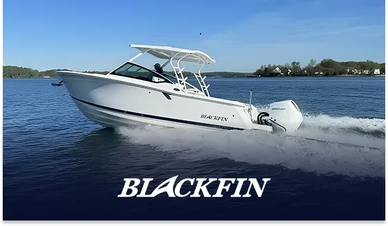 Blackfin