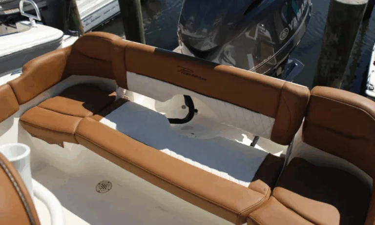 Cockpit layout with seating and audio system on Pioneer 202 Islander"