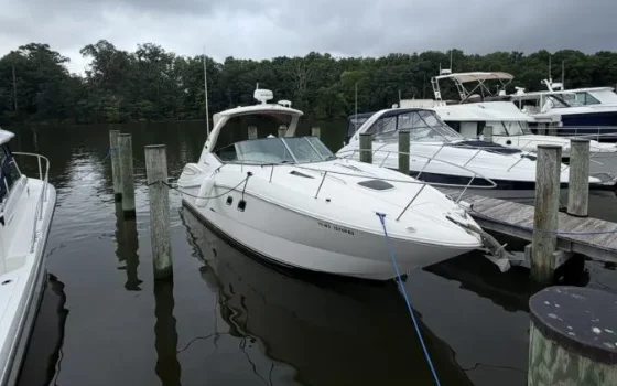 2007 Sea Ray Sundancer 310