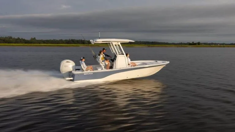 231 Bay Fox